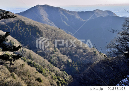 丹沢の物見峠より相州アルプスの華厳山、萩野高取山、煤ヶ谷高取山 91833193