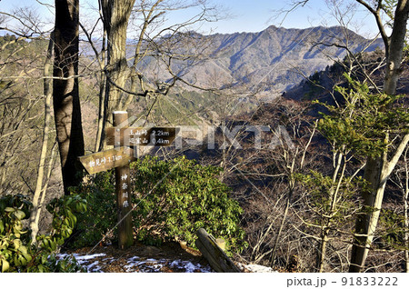 丹沢の辺室山 辺室山縦走コースより相州アルプスを望む 丹沢の辺室山 辺室山縦走コースより相州アルプスを望む 91833222