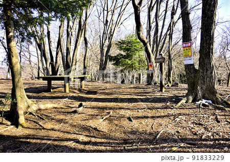 丹沢の辺室山山頂 丹沢の辺室山山頂 91833229