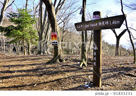 丹沢の辺室山山頂 丹沢の辺室山山頂 91833231
