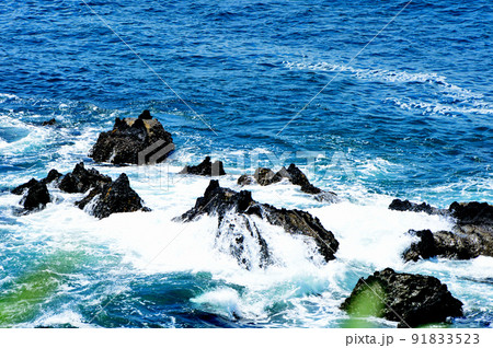 三浦半島　荒崎リアス式海岸の風景 91833523