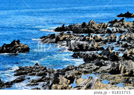 三浦半島 荒崎リアス式海岸の風景 三浦半島 荒崎リアス式海岸の風景 91833755