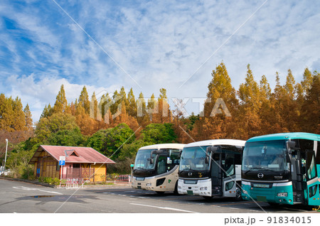 【兵庫県】11月・秋色に染まる、神戸市立森林植物園 【兵庫県】11月・秋色に染まる、神戸市立森林植物園 91834015