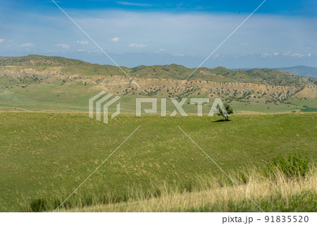 Kahetia, Georgia mountain and fields landscape view 91835520