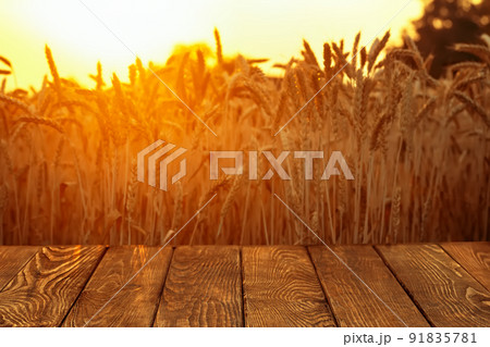wooden empty table and golden ripe wheat field on sunset as background 91835781