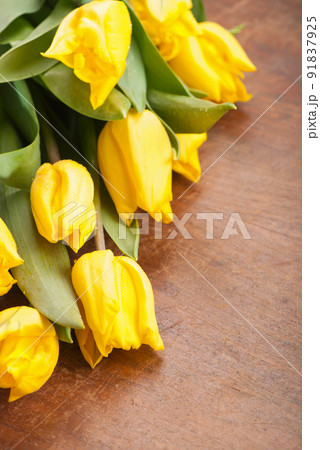 yellow tulips. bright spring flowers on wooden background yellow tulips. bright spring flowers on wooden background 91837925