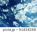 力強い夏空 91838266