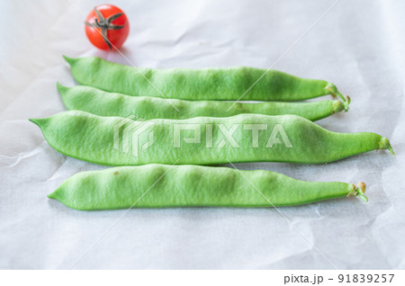 家庭菜園から収穫したモロッコいんげん 家庭菜園から収穫したモロッコいんげん 91839257