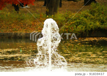 カラー　紅葉　秋　流水　公園　噴水（2022年7月登録） 91839437