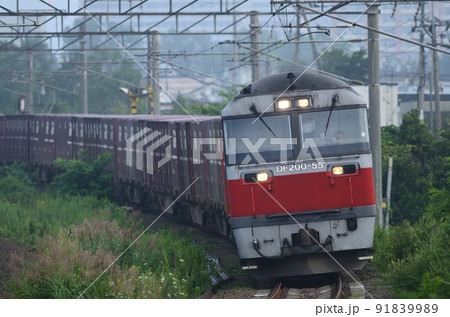 本州に向けて早朝の千歳線を走るDF200形機関車牽引の貨物列車 91839989