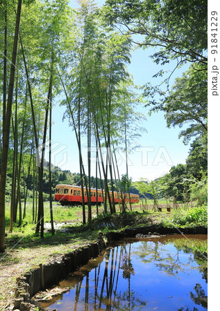 小湊鐵道「竹林と池のある里山風景」列車を背景に 91841229