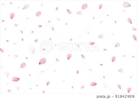 Cherry petals backdrop. Sakura petals background. Cherry petals backdrop. Sakura petals background. 91842909