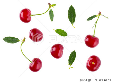 Cherry isolated on white background. Red ripe berry of sweet cherry. Clipping path. Top view. 91843874