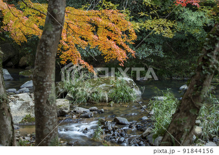 岡山が誇る紅葉の名所 岡山が誇る紅葉の名所 91844156