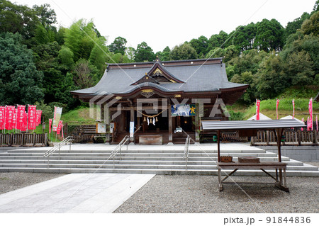宮崎県 都農神社拝殿 宮崎県 都農神社拝殿 91844836