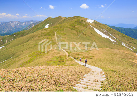 平標山山頂付近より仙ノ倉山方面へと続く嫋やかな初夏の稜線 平標山山頂付近より仙ノ倉山方面へと続く嫋やかな初夏の稜線 91845015