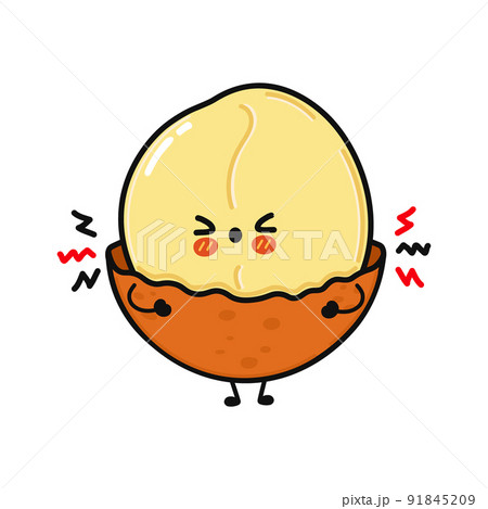 Cute angry macadamia character. Vector hand drawn cartoon kawaii character illustration icon. Isolated on green background. Sad macadamia character concept Cute angry macadamia character. Vector hand drawn cartoon kawaii character illustration icon. Isolated on green background. Sad macadamia character concept 91845209