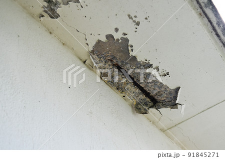 コンクリート爆裂 91845271