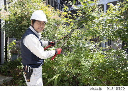 微笑む庭木の枝切りをする造園業の作業員 91846590