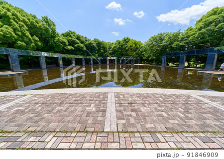 東京 多摩市 多摩中央公園 きらめきの池 東京 多摩市 多摩中央公園 きらめきの池 91846909