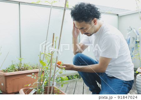 ベランダ菜園　髭の男性 91847024