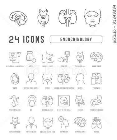 Set of linear icons of Endocrinology 91849394