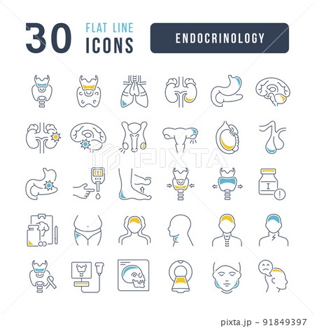 Set of linear icons of Endocrinology 91849397