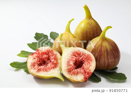 白バックのイチジク 91850771
