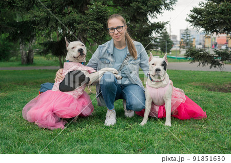Happy woman walking with two dogo argentino 91851630