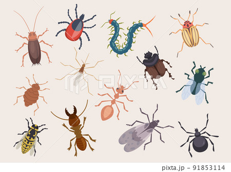 Harmful bugs. Danger insects ladybug ants pests roaches centipede flea exact vector illustrations set 91853114