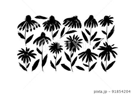 Hand drawn vector chamomiles brush painted flowers 91854204