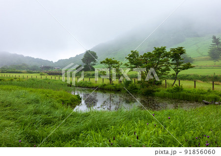 日本の鳥取県の大山の美しい風景 日本の鳥取県の大山の美しい風景 91856060