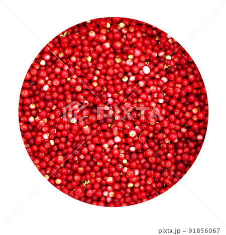 Red ripe cranberry Red ripe cranberry 91856067