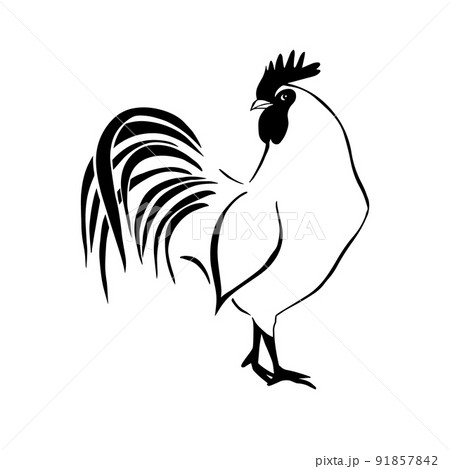 Rooster line. Hand drawn minimalism style. Vector illustration Rooster line. Hand drawn minimalism style. Vector illustration 91857842