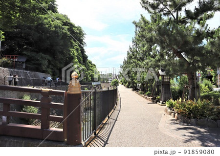 保土ケ谷宿　松並木プロムナード 91859080