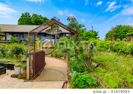 東京　足立区にある足立区立都市農業公園　ハーブ園 91859083