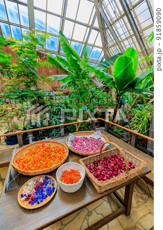 東京　足立区にある足立区立都市農業公園　人と自然の共生館　(温室棟) 91859090