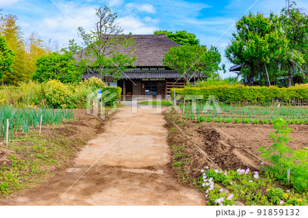 東京　足立区にある足立区立都市農業公園　旧和井田家住宅 91859132