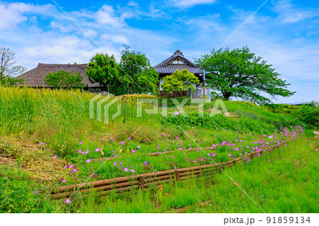 東京　足立区にある足立区立都市農業公園　古民家と長屋門 91859134