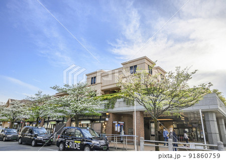 田園調布駅前　街路樹が美しい街並み　　東京都大田区 91860759
