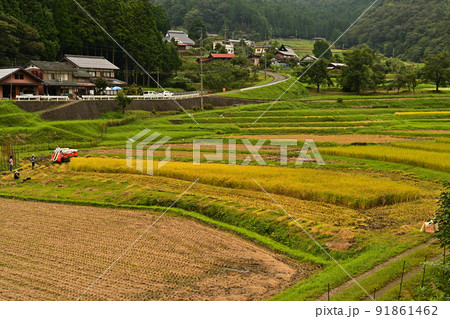 実りの毛原の棚田 実りの毛原の棚田 91861462