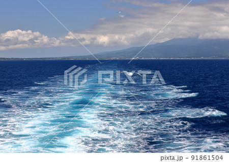 新潟県新潟市新潟港と佐渡島両津を結ぶ佐渡汽船フェリーからウミネコと航跡 新潟県新潟市新潟港と佐渡島両津を結ぶ佐渡汽船フェリーからウミネコと航跡 91861504