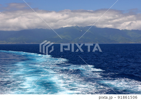 新潟県新潟市新潟港と佐渡島両津を結ぶ佐渡汽船フェリーからウミネコと航跡 新潟県新潟市新潟港と佐渡島両津を結ぶ佐渡汽船フェリーからウミネコと航跡 91861506