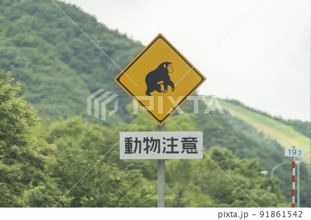 動物注意標識　猿 91861542