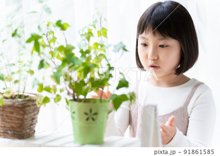 観葉植物を観察する女の子 観葉植物を観察する女の子 91861585