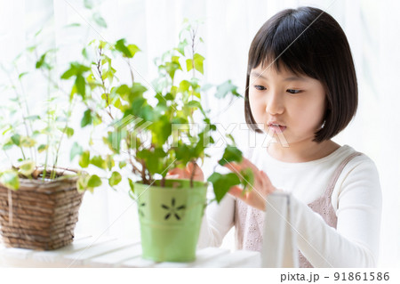 観葉植物を観察する女の子 観葉植物を観察する女の子 91861586