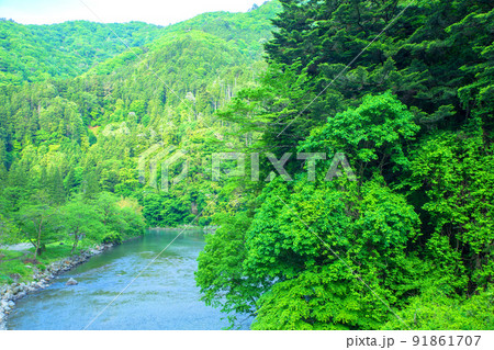 四万川 湯原橋から下流方面の眺め 新緑の風景 四万川 湯原橋から下流方面の眺め 新緑の風景 91861707