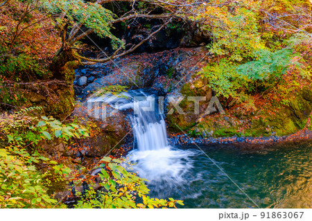 大柳川渓谷(秋) 大柳川渓谷(秋) 91863067
