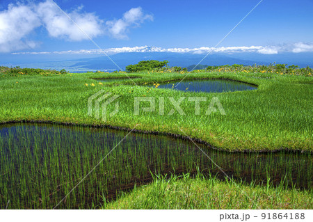 月山弥陀ヶ原 91864188