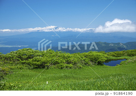 月山弥陀ヶ原 91864190